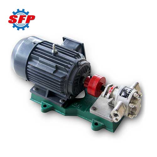 Edible Oil Pump for Sale